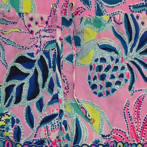 Lilly Pulitzer "Katia" Shorts — Once Upon a Tide, Size XL - Picture 3 of 6